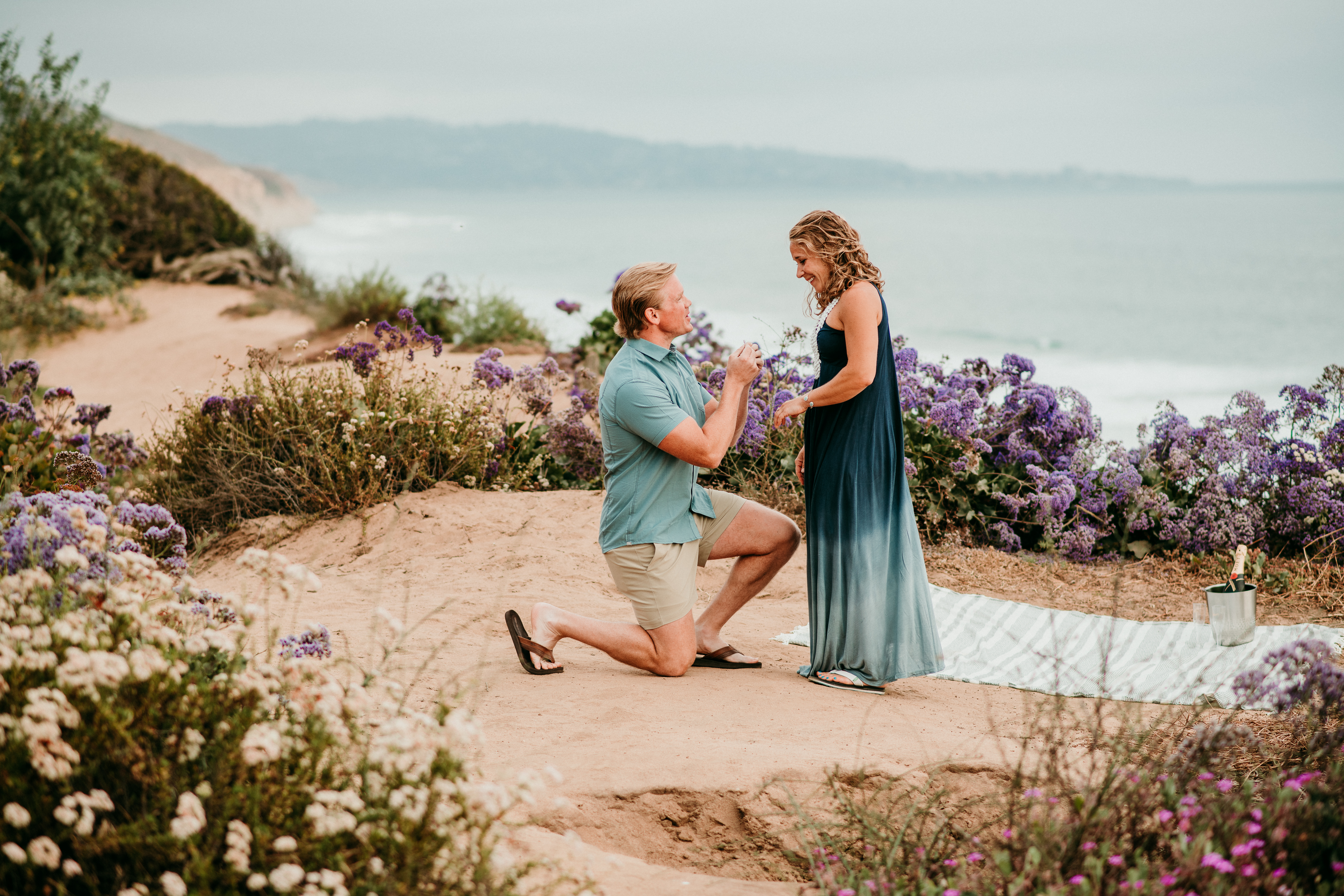 San Diego Proposal Photographer Marie Monforte captures Cliffside Beach proposal surrounded by wildflowers. 