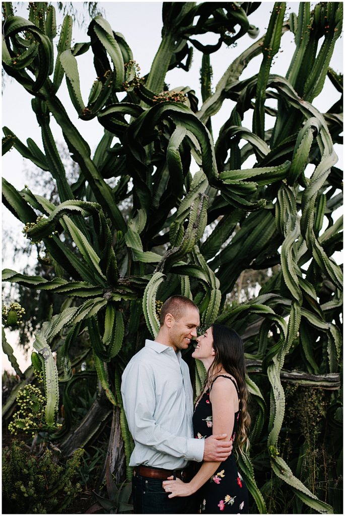 Couple stand facing each other during their engagement photos in front of Balboa Park Desert Garden's Candelabra tree, famous for is twisted green stems. 