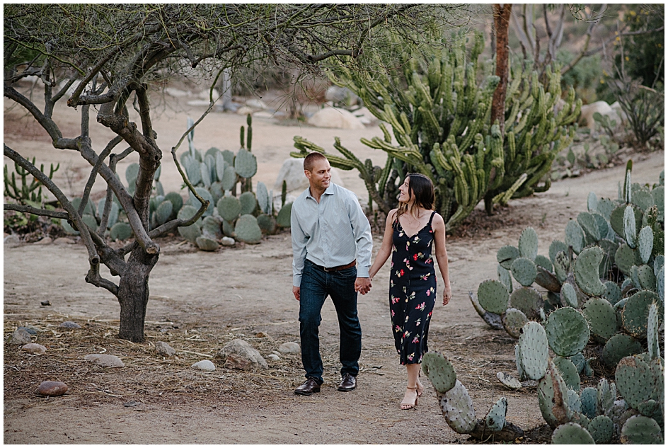 Couple holds hands wandering through Balboa Park's Desert Gardens, surrounded by various cactus plants from around the world. The sand colored ground and soft tones of the desert fauna make the Desert Garden one of Balboa Park's best spots for engagement photos.  